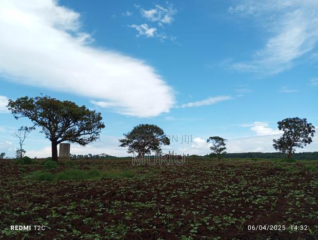 Makuyu 178 Acres Red Soil for Sale