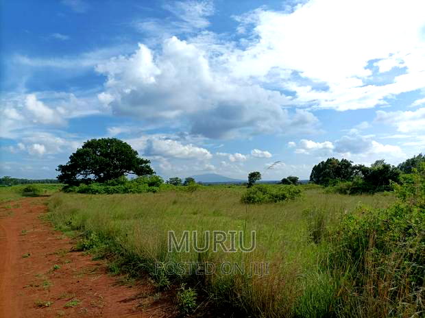Makuyu 178 Acres Red Soil for Sale