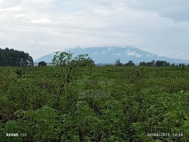 Makuyu 178 Acres Red Soil for Sale