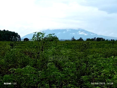 Makuyu 178 Acres Red Soil for Sale - Image 9