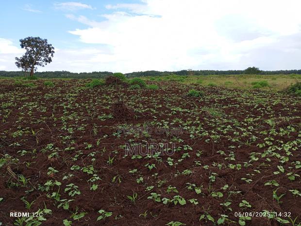 Makuyu 178 Acres Red Soil for Sale