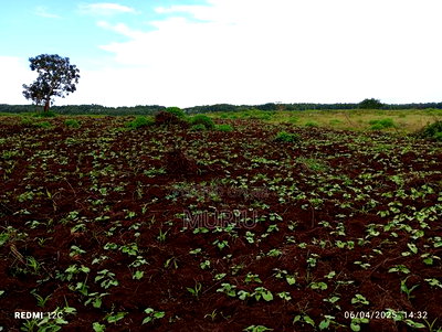 Makuyu 178 Acres Red Soil for Sale - Image 13