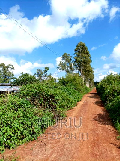 Makuyu 178 Acres Red Soil for Sale - Image 7