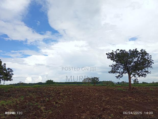 Makuyu 178 Acres Red Soil for Sale