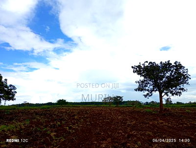 Makuyu 178 Acres Red Soil for Sale - Image 10
