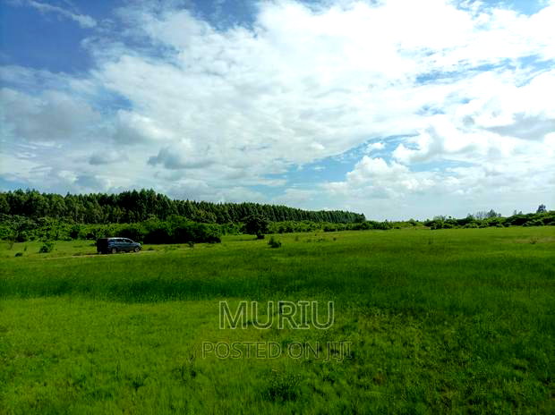 Makuyu 178 Acres Red Soil for Sale