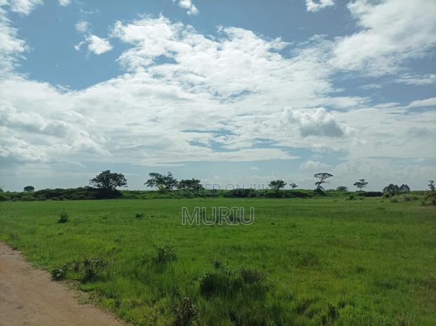 Makuyu 178 Acres Red Soil for Sale