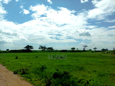 Makuyu 178 Acres Red Soil for Sale - Image 6