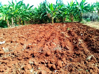 50 by 100 Plot for Sale at Mwea Kangai Area Near Kagio - Image 2