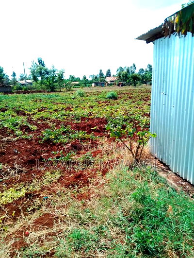 50 by 100 Plot for Sale at Mwea Kangai Area Near Kagio - Image 4