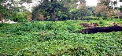 2-Acre Flat Plot on Shanzu Road with All Utilities – Spring Valley