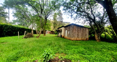 1.1-Acre Karen Gem at 85M