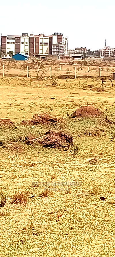 Prime Land on Sale,Thika Road, Kimbo - Image 2