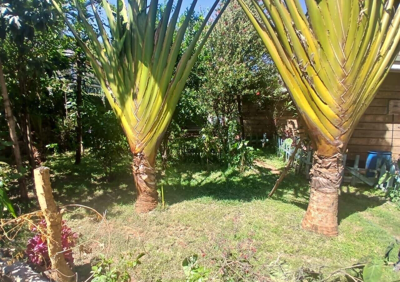 4BR Garden Home at KSh 150K