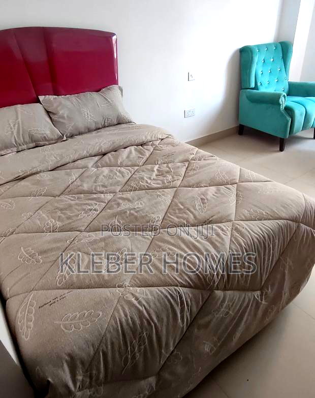 Studio Apartment in Nairobi West for rent