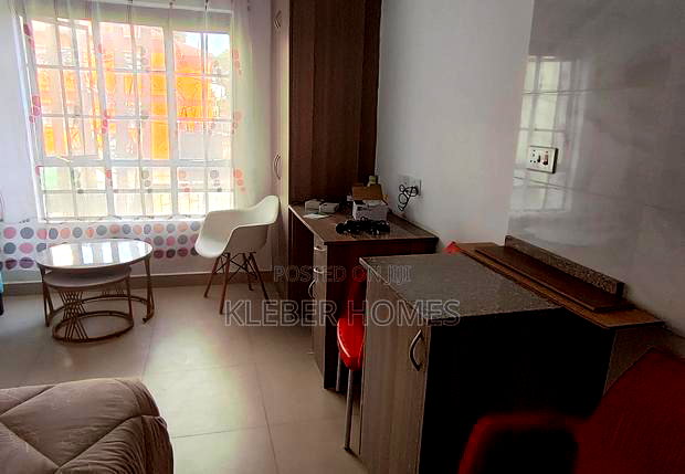 Studio Apartment in Nairobi West for rent