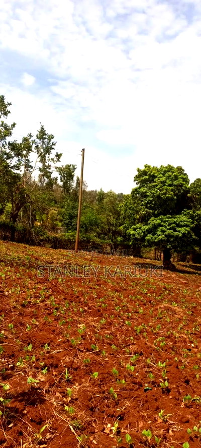 Serviced Plots Thangira - Image 1