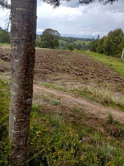 5 Acres on Sale at Kinangop Murungaru - Image 6