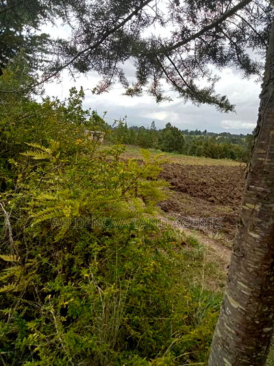 5 Acres on Sale at Kinangop Murungaru - Image 4