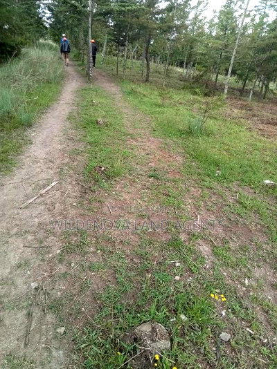 5 Acres on Sale at Kinangop Murungaru - Image 3