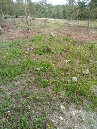 5 Acres on Sale at Kinangop Murungaru - Image 1