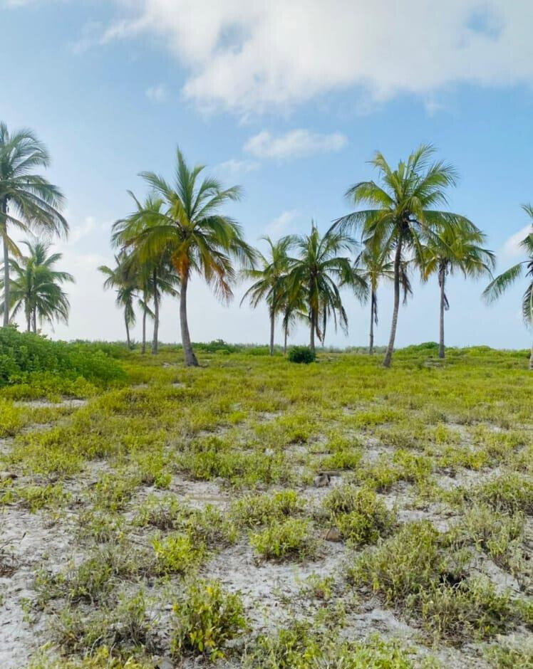 Garden Plot with Parking at KSh 1.8M