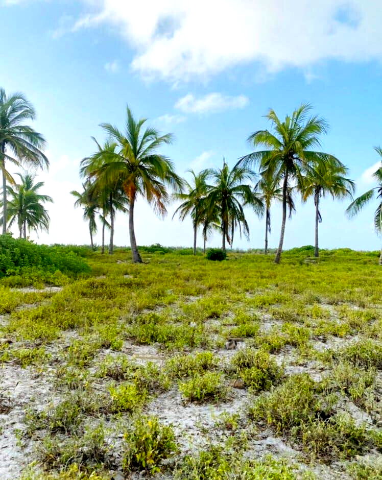 Garden Plot with Parking at KSh 1.8M