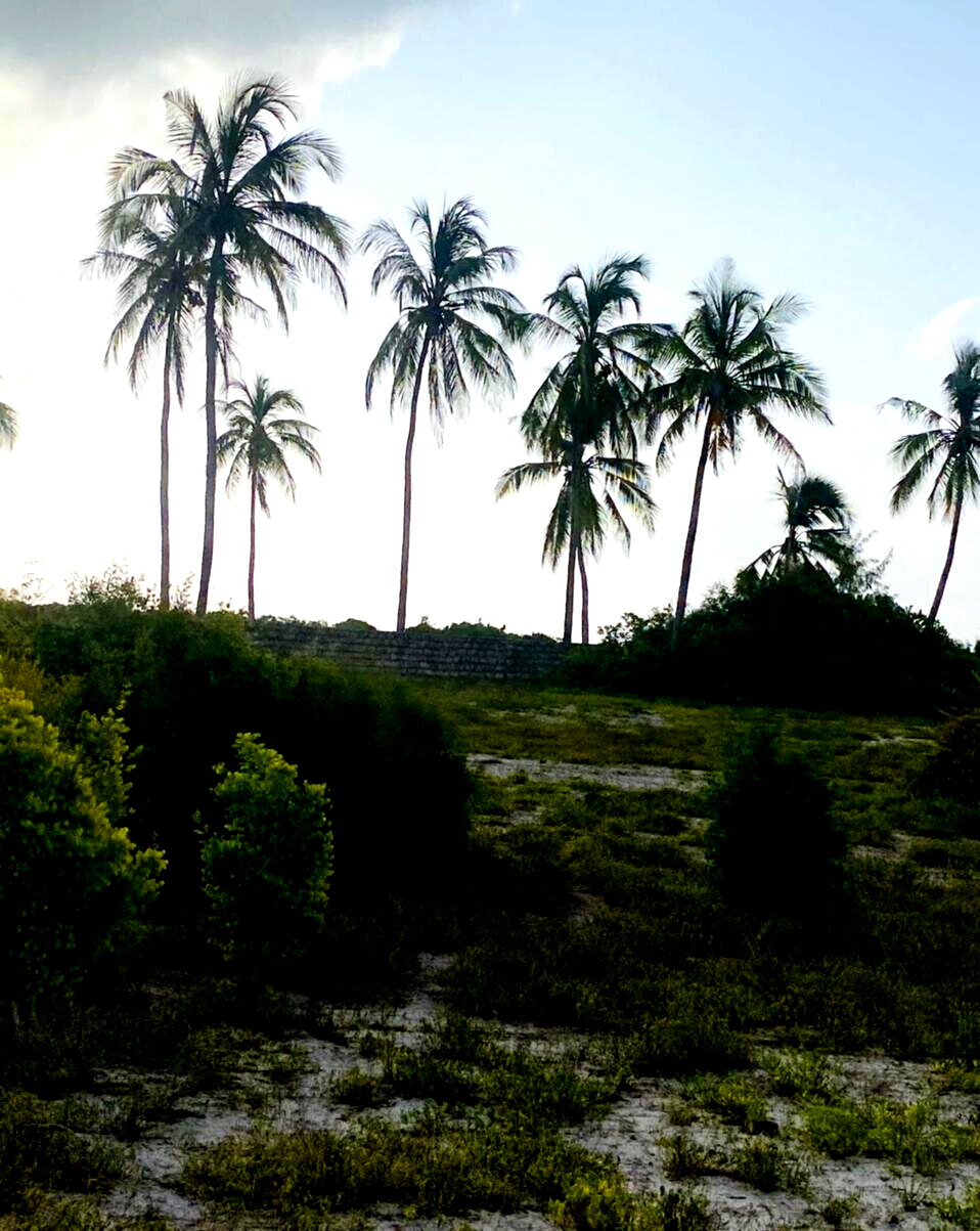 Garden Plot with Parking at KSh 1.8M