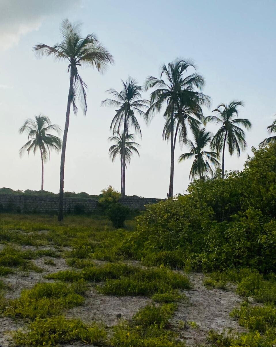 Garden Plot with Parking at KSh 1.8M