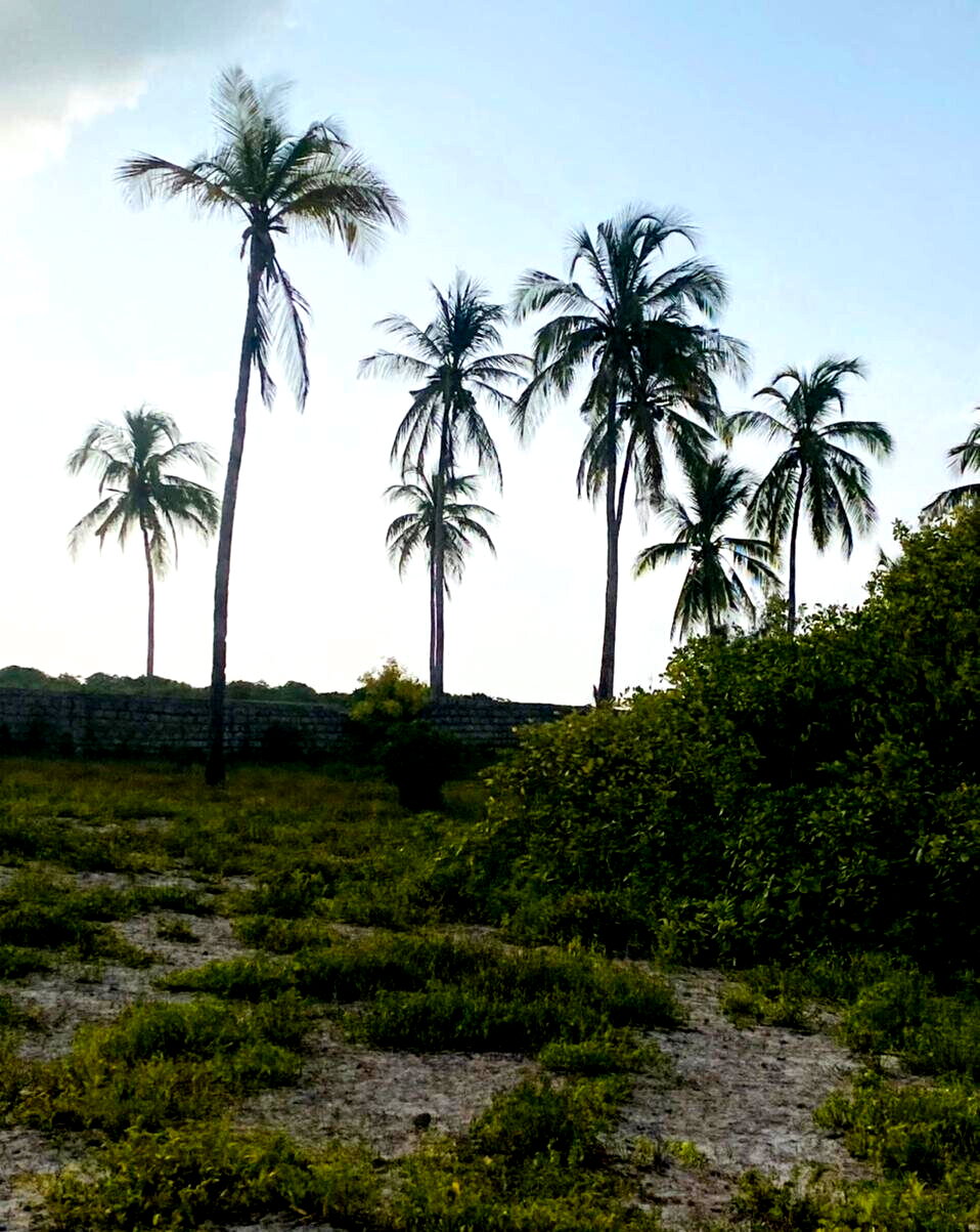Garden Plot with Parking at KSh 1.8M