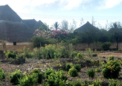 Garden Plot with Parking at KSh 1.8M