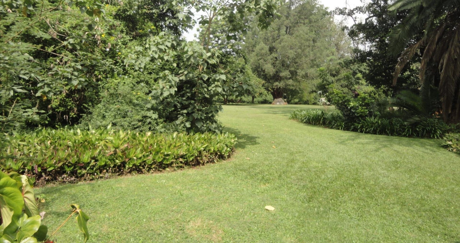 5-Acre Garden Plot with Parking