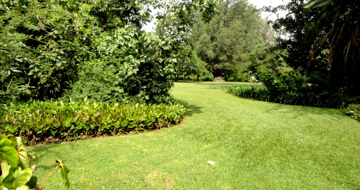 5-Acre Garden Plot with Parking