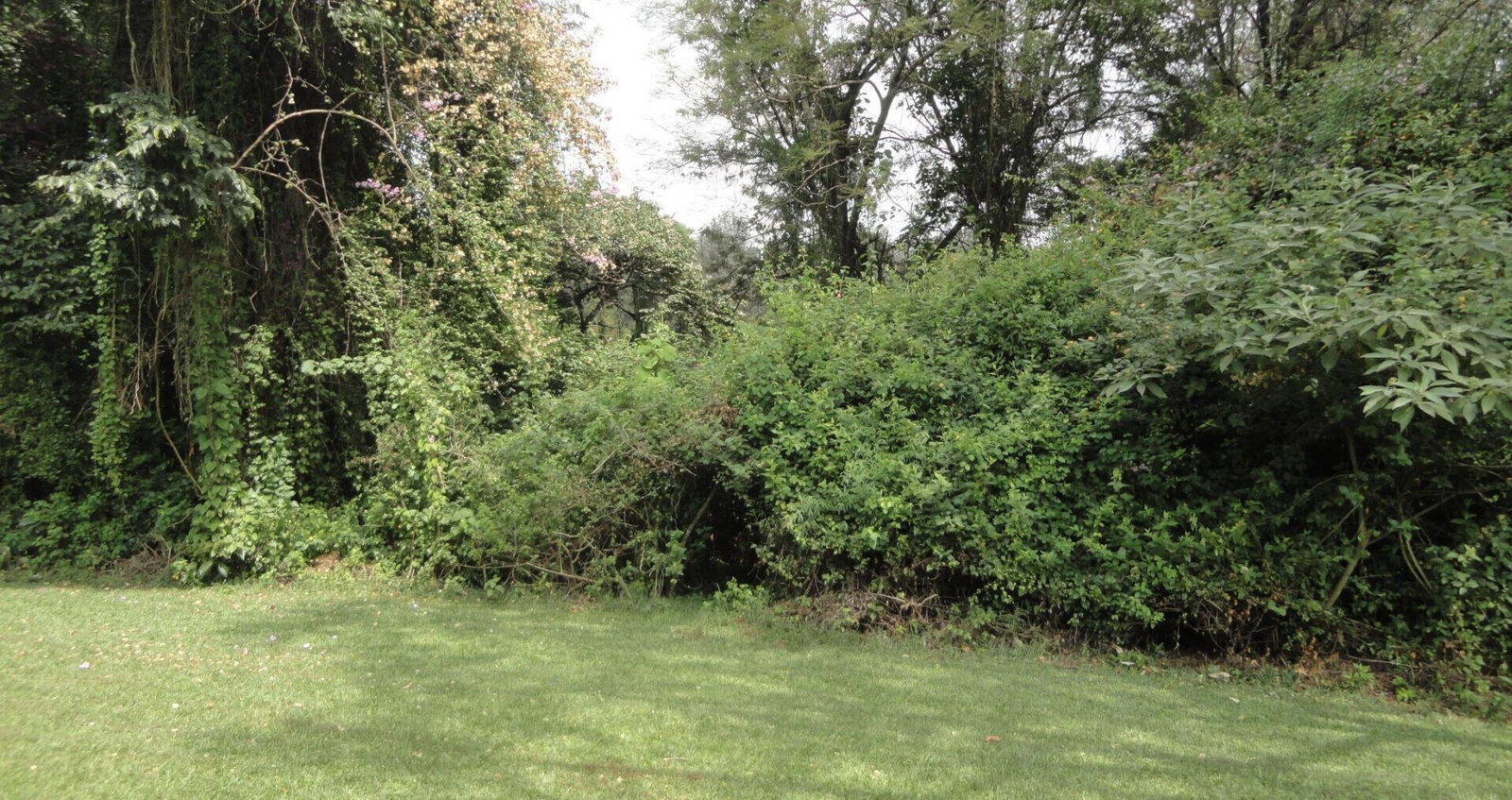 5-Acre Garden Plot with Parking