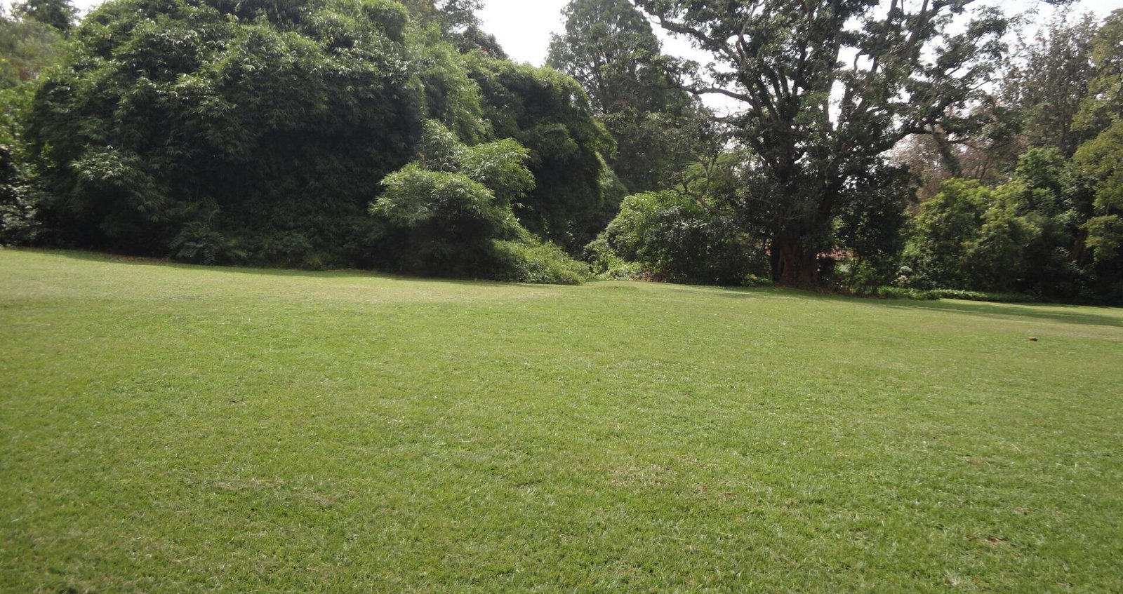 5-Acre Garden Plot with Parking