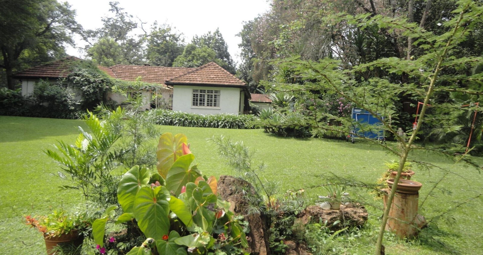 5-Acre Garden Plot with Parking
