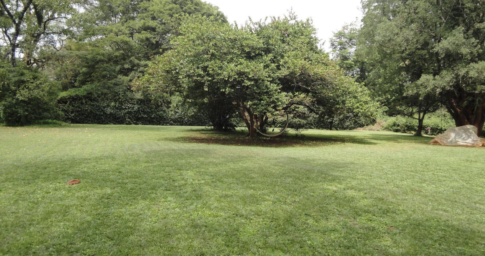 5-Acre Garden Plot with Parking