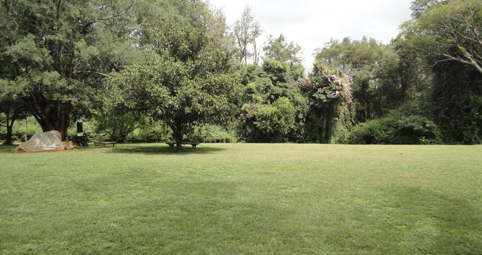 5-Acre Garden Plot with Parking