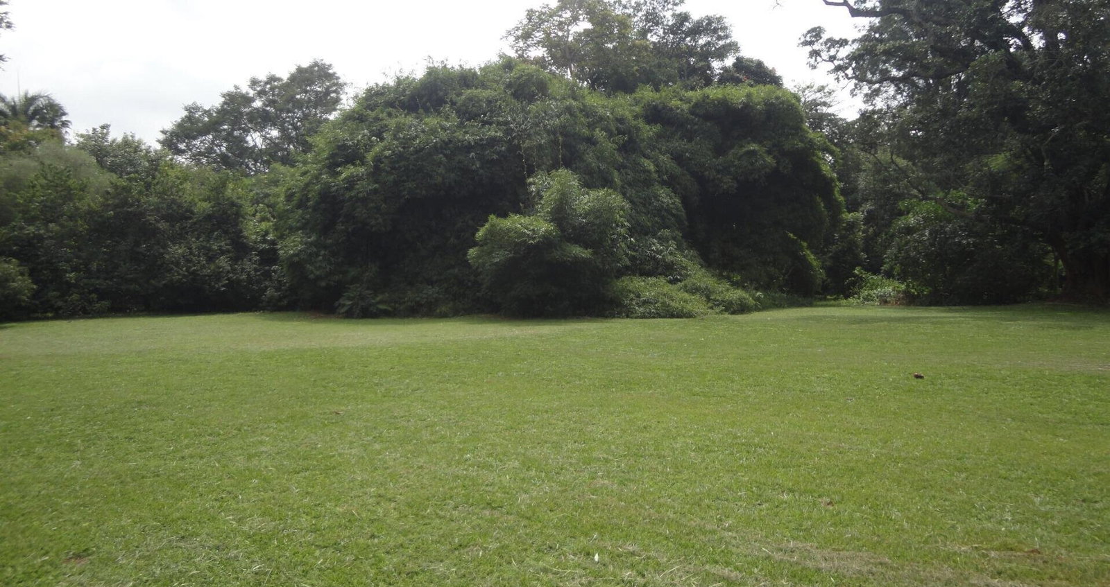 5-Acre Garden Plot with Parking