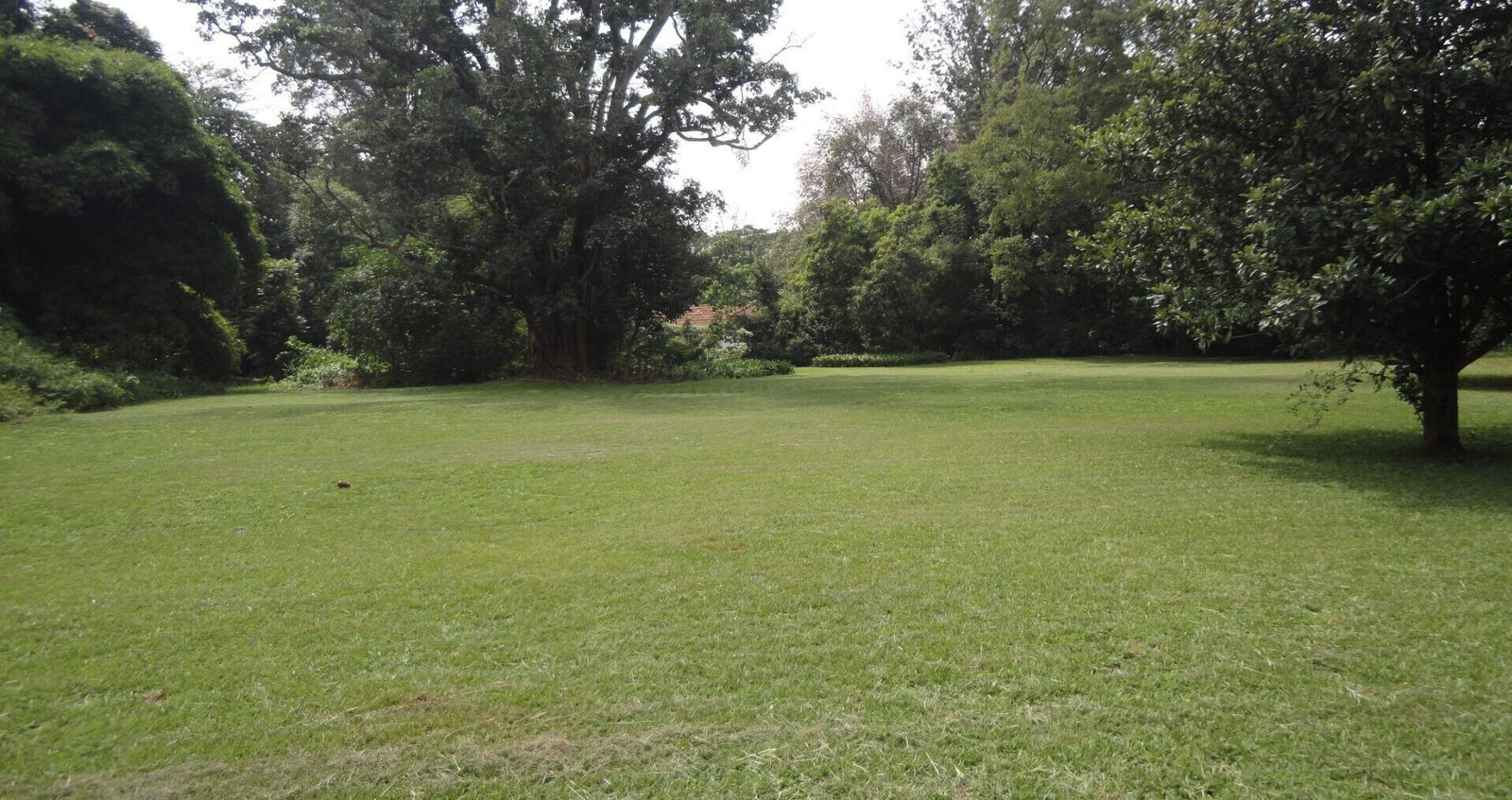 5-Acre Garden Plot with Parking