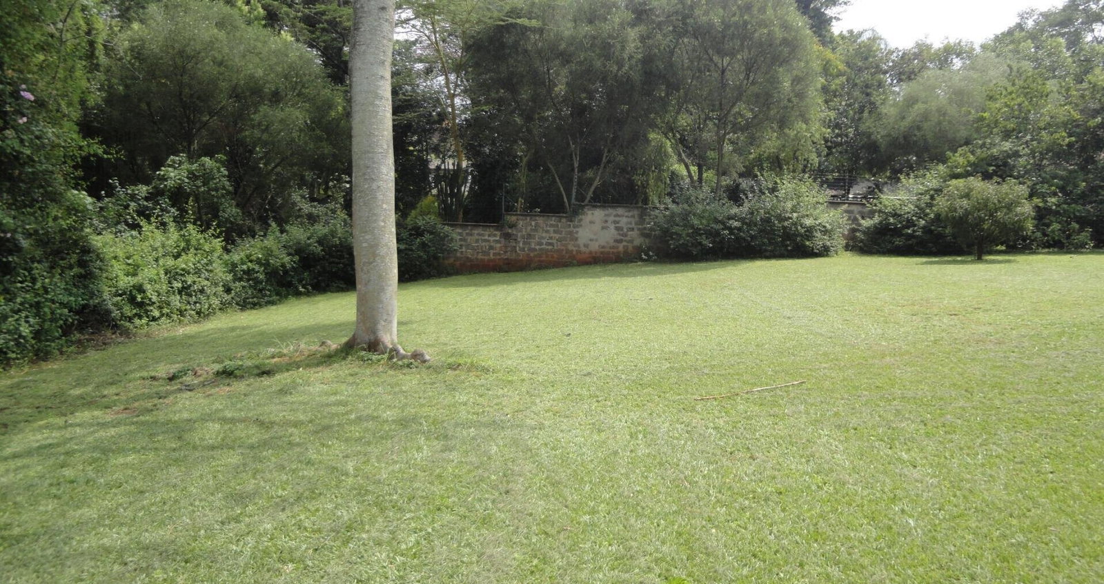 5-Acre Garden Plot with Parking