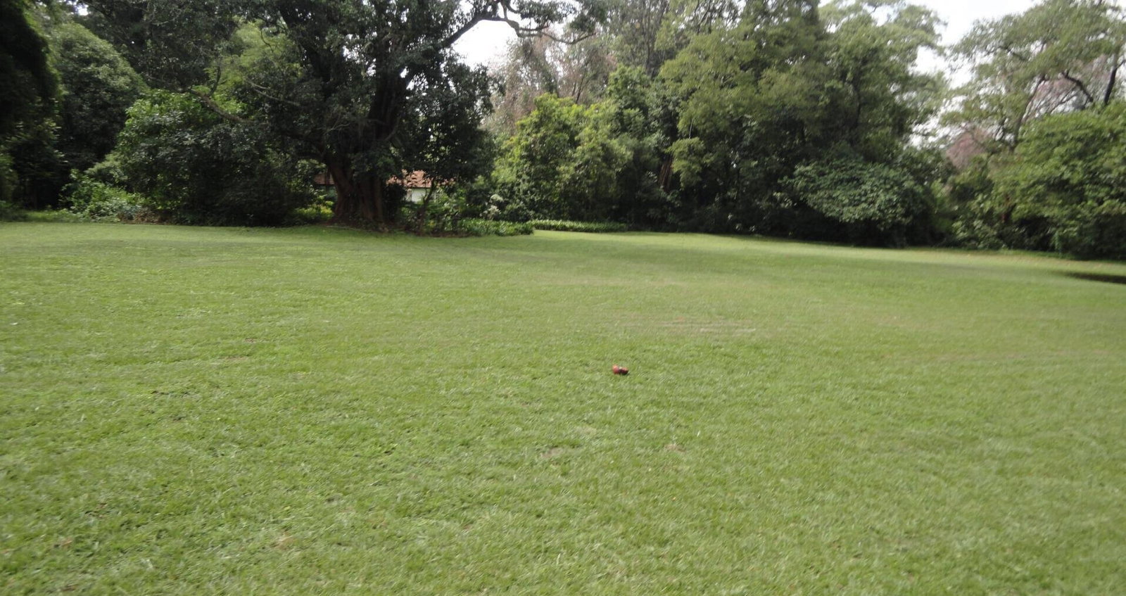 5-Acre Garden Plot with Parking