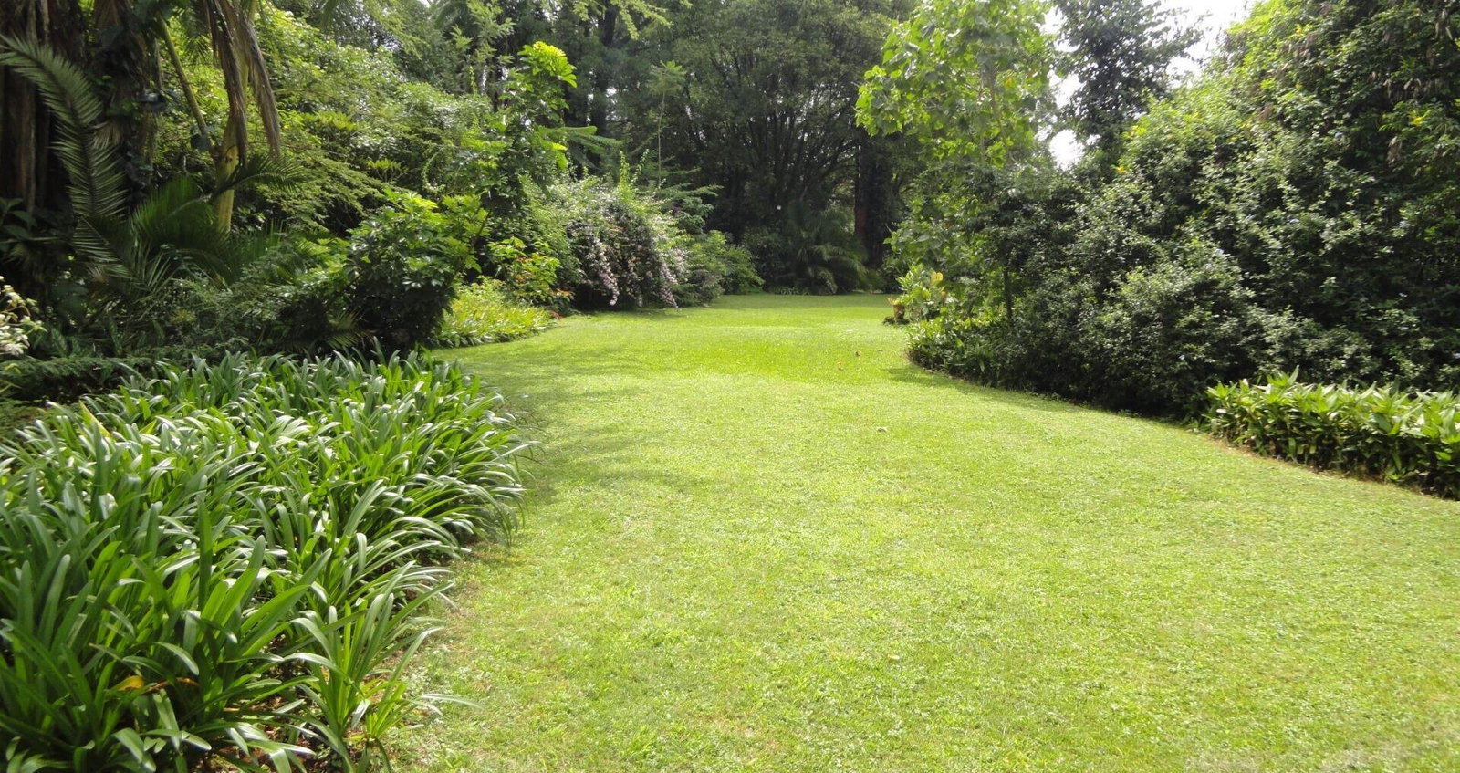 5-Acre Garden Plot with Parking