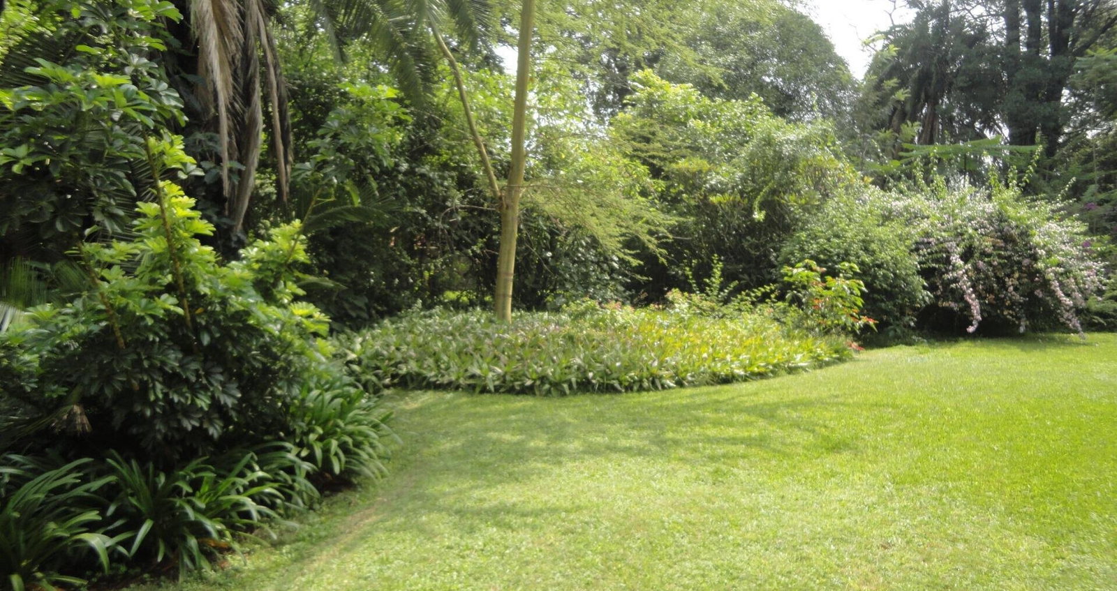 5-Acre Garden Plot with Parking