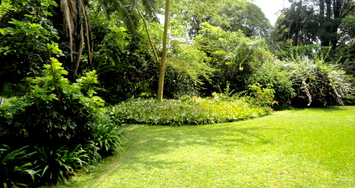 5-Acre Garden Plot with Parking