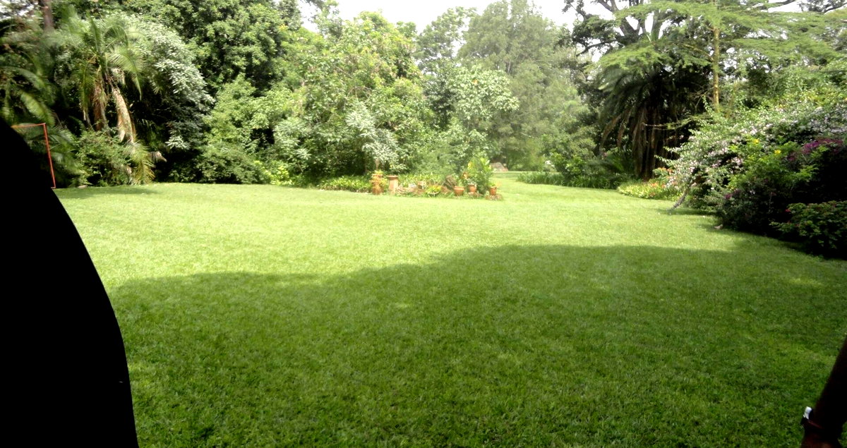 5-Acre Garden Plot with Parking