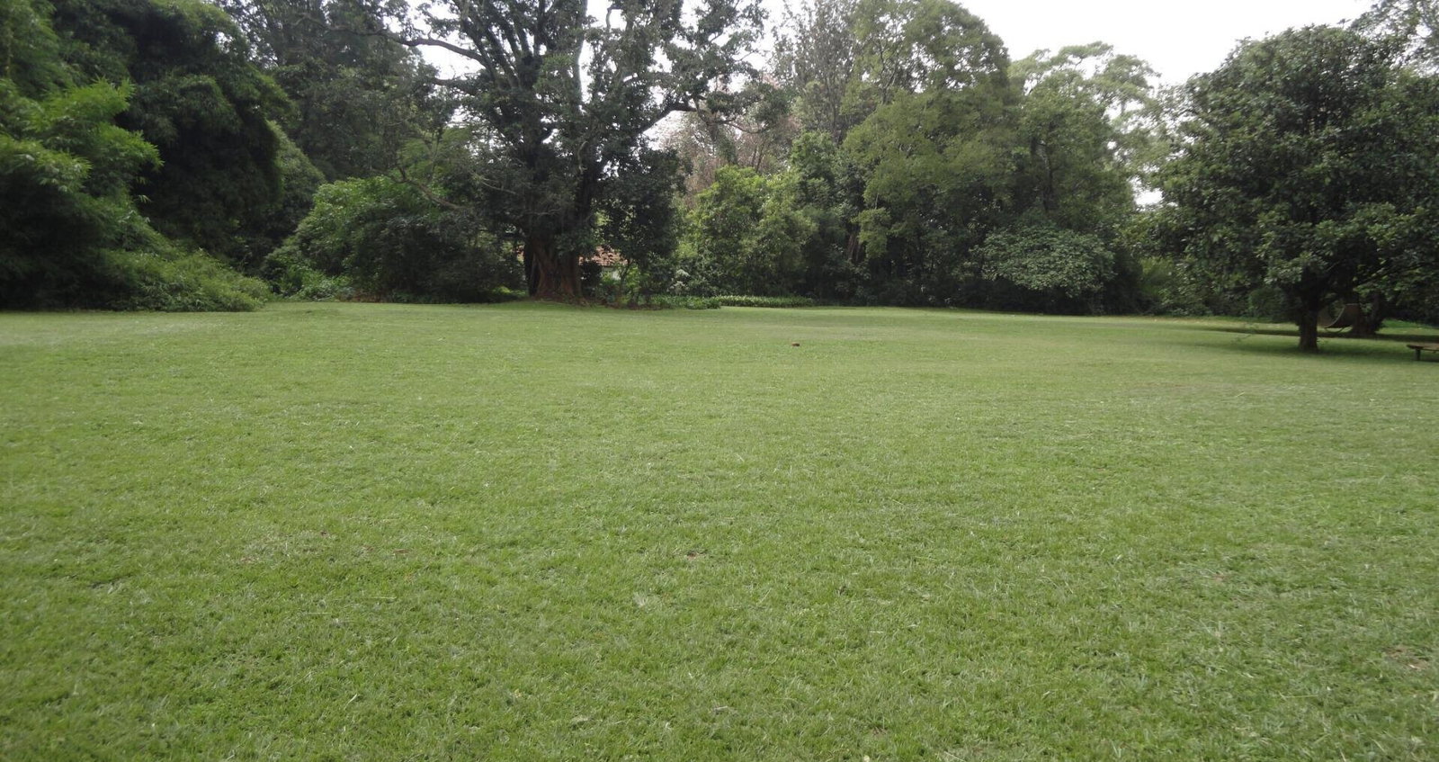 5-Acre Garden Plot with Parking