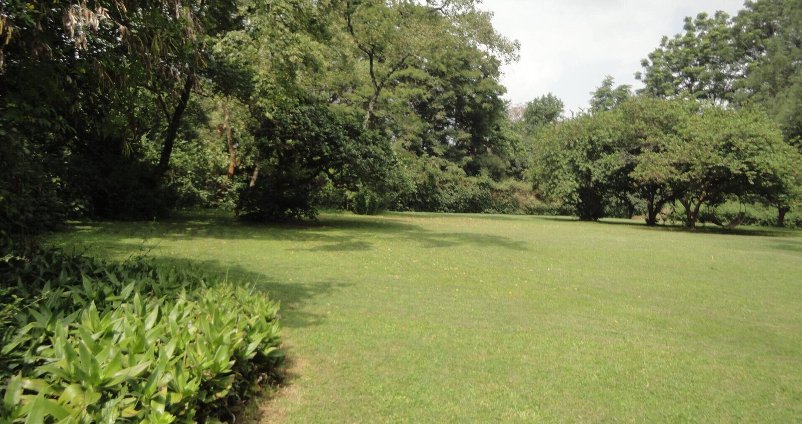 5-Acre Garden Plot with Parking