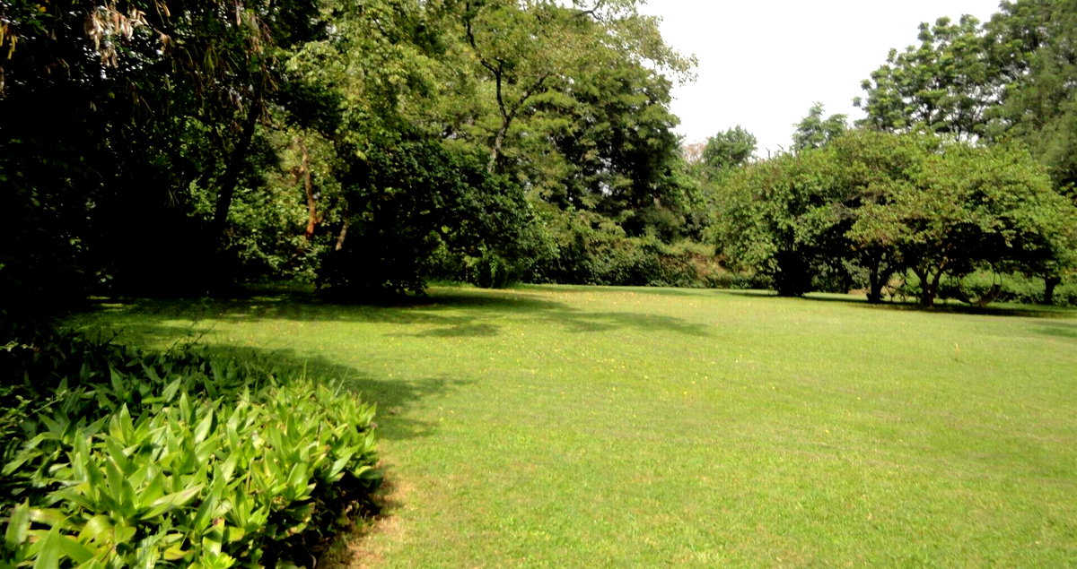 5-Acre Garden Plot with Parking