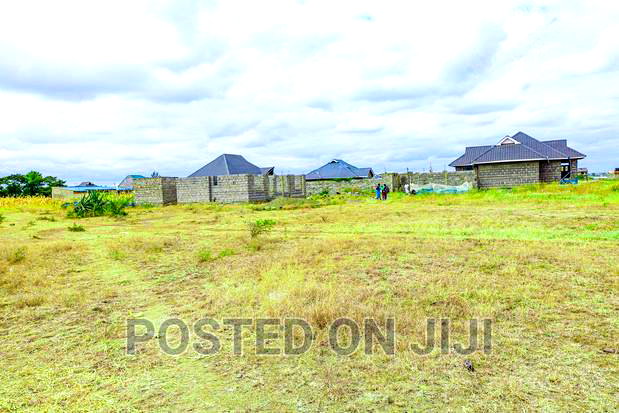 Ready to Build Plots in Murera